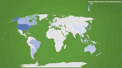 Global Epidemiology, Health Outcomes, and Treatment Options for Patients With Type 2 Diabetes and Kidney Failure